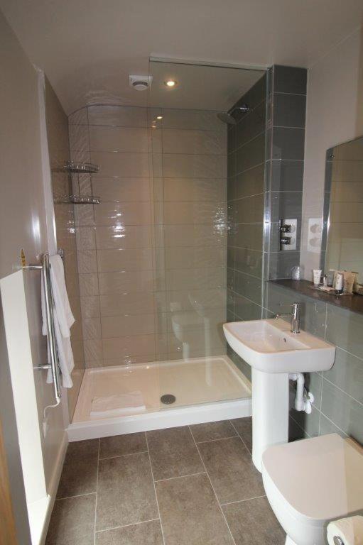 Rooms @ The Dolau Inn New Quay  Extérieur photo